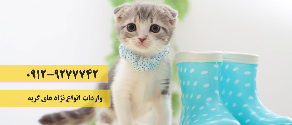 اسلایدر دوم